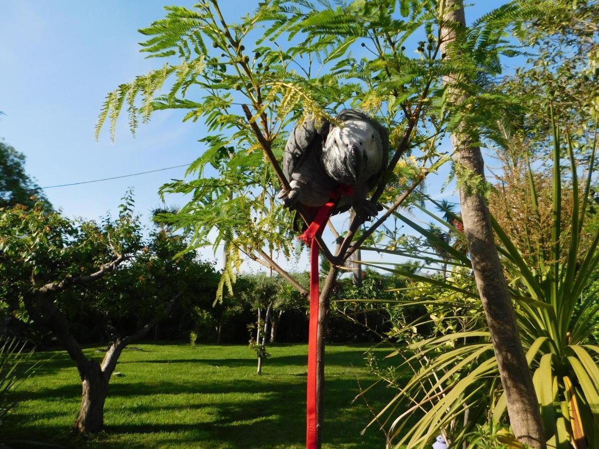 Villa Delle Vacanze Fiumefreddo di Sicilia Kültér fotó